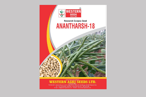 - Semi spreading. 

- Recommended for  cowpea (For Gujarat State) 

- Higher fodder yield.

- Medium plant height plant. Read More...