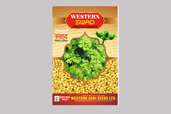 - Semi spreading. 

- Recommended for  Coriander (For Gujarat State) 

- Higher fodder yield.

- Medium plant height plant.
 Read More...