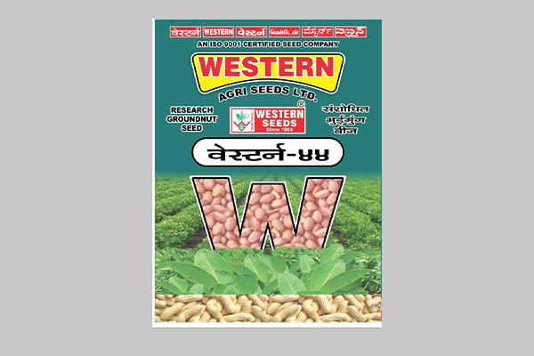 - Semi spreading. 

- Recommended for Groundnut (For Gujarat State) 

- Dark green foliage with broad leaves. 

- Higher fodder yield.

- Medium plant height plant. Read More...