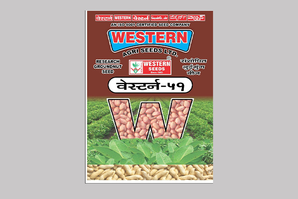 - Semi spreading. 

- Recommended for Groundnut (For Gujarat State) 

- Dark green foliage with broad leaves. 

- Higher fodder yield.

- Medium plant height plant. Read More...