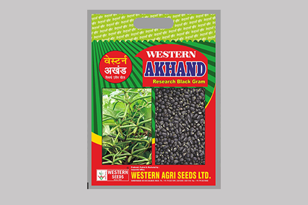 - Semi spreading. 

- Recommended for Urad (For Gujarat State) 

- Dark green foliage with broad leaves. 

- Higher fodder yield.

- Medium plant height plant. Read More...