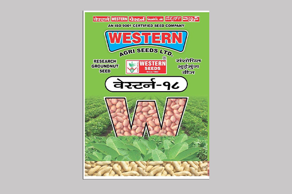 - Semi spreading. 

- Recommended for Groundnut (For Gujarat State) 

- Dark green foliage with broad leaves. 

- Higher fodder yield.

- Medium plant height plant. Read More...