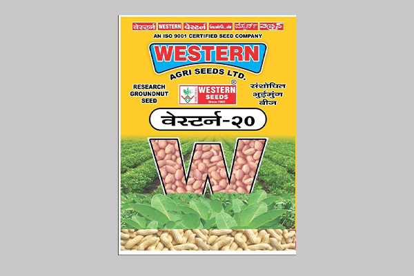 - Semi spreading. 

- Recommended for Groundnut (For Gujarat State) 

- Dark green foliage with broad leaves. 

- Higher fodder yield.

- Medium plant height plant. Read More...