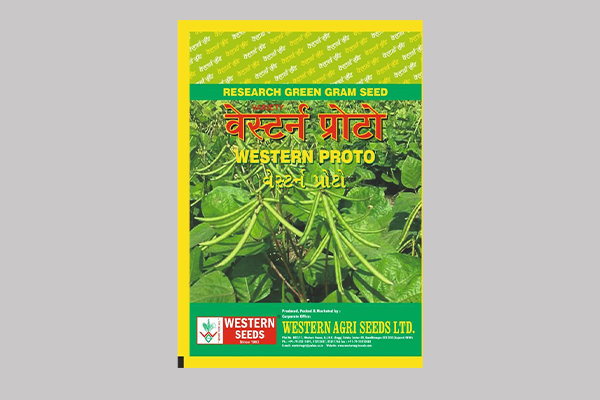 - Semi spreading. 

- Recommended for  Moong (For Gujarat State) 

- Dark green foliage with broad leaves. 

- Higher fodder yield.

- Medium plant height plant. Read More...