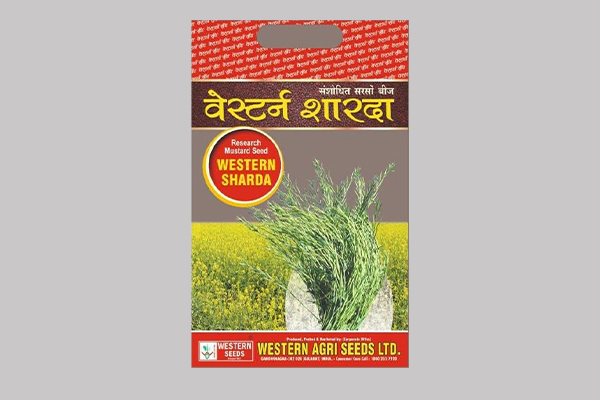 - Semi spreading. 

- Recommended for kharif season (For Gujarat State) 

- Dark black foliage with broad leaves. 

- Higher fodder yield.

- Medium plant height plant. Read More...