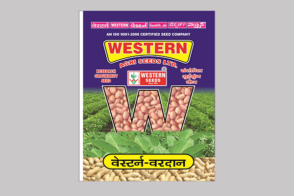 - Semi spreading. 

- Recommended for Groundnut (For Gujarat State) 

- Dark green foliage with broad leaves. 

- Higher fodder yield.

- Medium plant height plant. Read More...