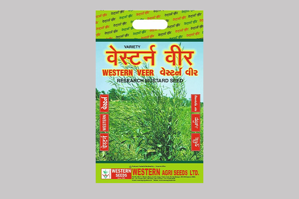 - Distinctness of variety is big size seeds of Browny –Black Colour.
- Uniform plant growth with 10 to 11 Branches & 23-25 sub branches per plant.
- Medium plant height about 140 cm.
- Siliquae are long and thick.

Read More...