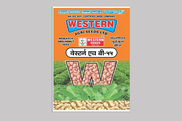 - Semi spreading. 

- Recommended for kharif season (For Gujarat State) 

- Dark green foliage with broad leaves. 

- Higher fodder yield.

- Medium plant height plant. Read More...