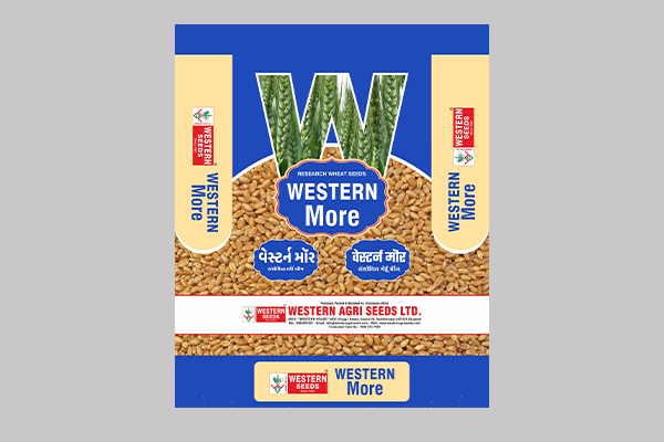 Western More ( Wheat )