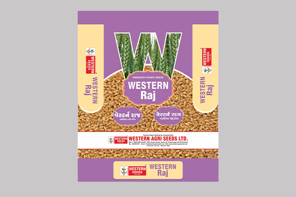 Western Raj ( Wheat )