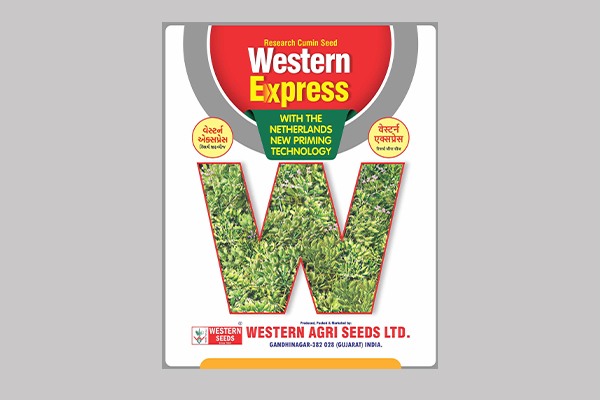 WESTERN EXPRESS ( Cumin )