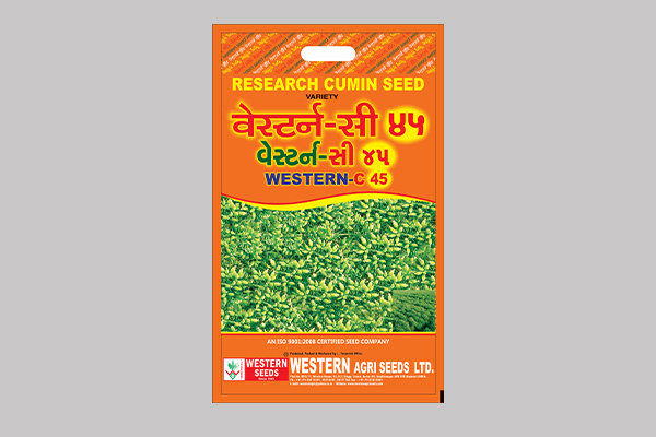 - Days to 50 % Flowering : 55 Days after sowing.
- Maturity Days : 110-120 Days.
- Highly Resistant to blight as compared to other existing varieties.
- Resistant to soil-borne disease and sucking pests as treated with IMIDA POLYMER COATING.

Read More...