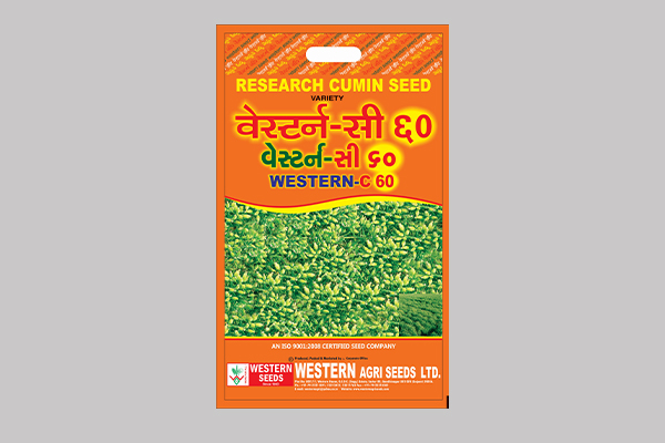 - Days to 50 % Flowering : 60 Days after sowing.
- Maturity Days : 105-115 Days.
- Highly Resistant to blight as compared to other existing varieties.
- Resistant to soil-borne disease and sucking pests as treated with IMIDA POLYMER COATING. Read More...