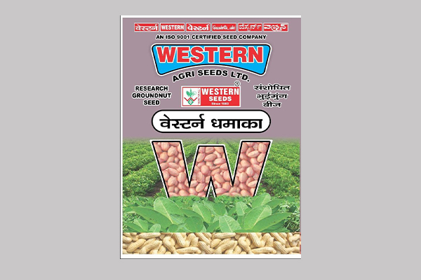 Western Dhamaka