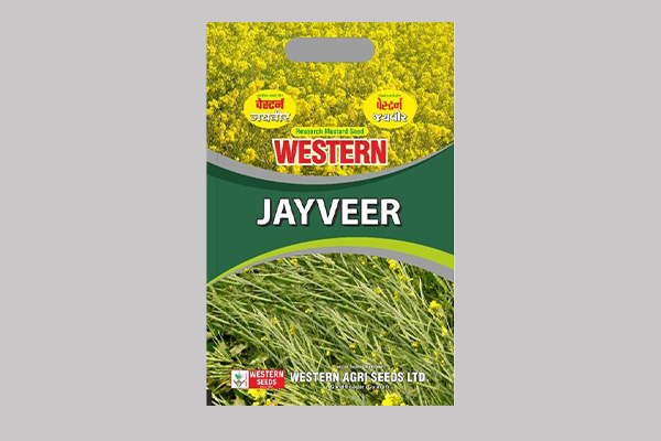 Western Jayveer